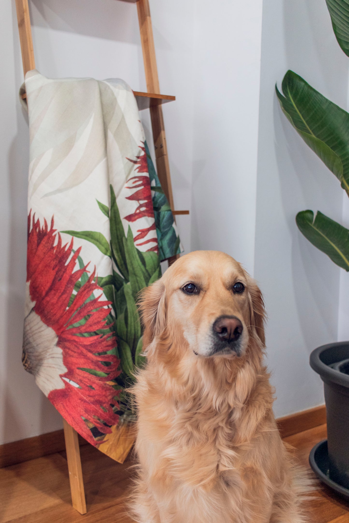 Mantelería Fritilliaria